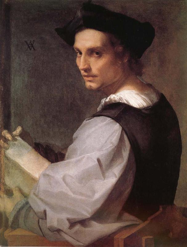 Andrea del Sarto Portrait of man France oil painting art